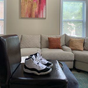 Jordan 11 Concorde (used)